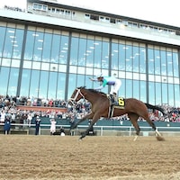 Renegade wins the Arkansas Derby at Oaklawn Park.