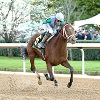 Renegade wins the Arkansas Derby at Oaklawn Park.