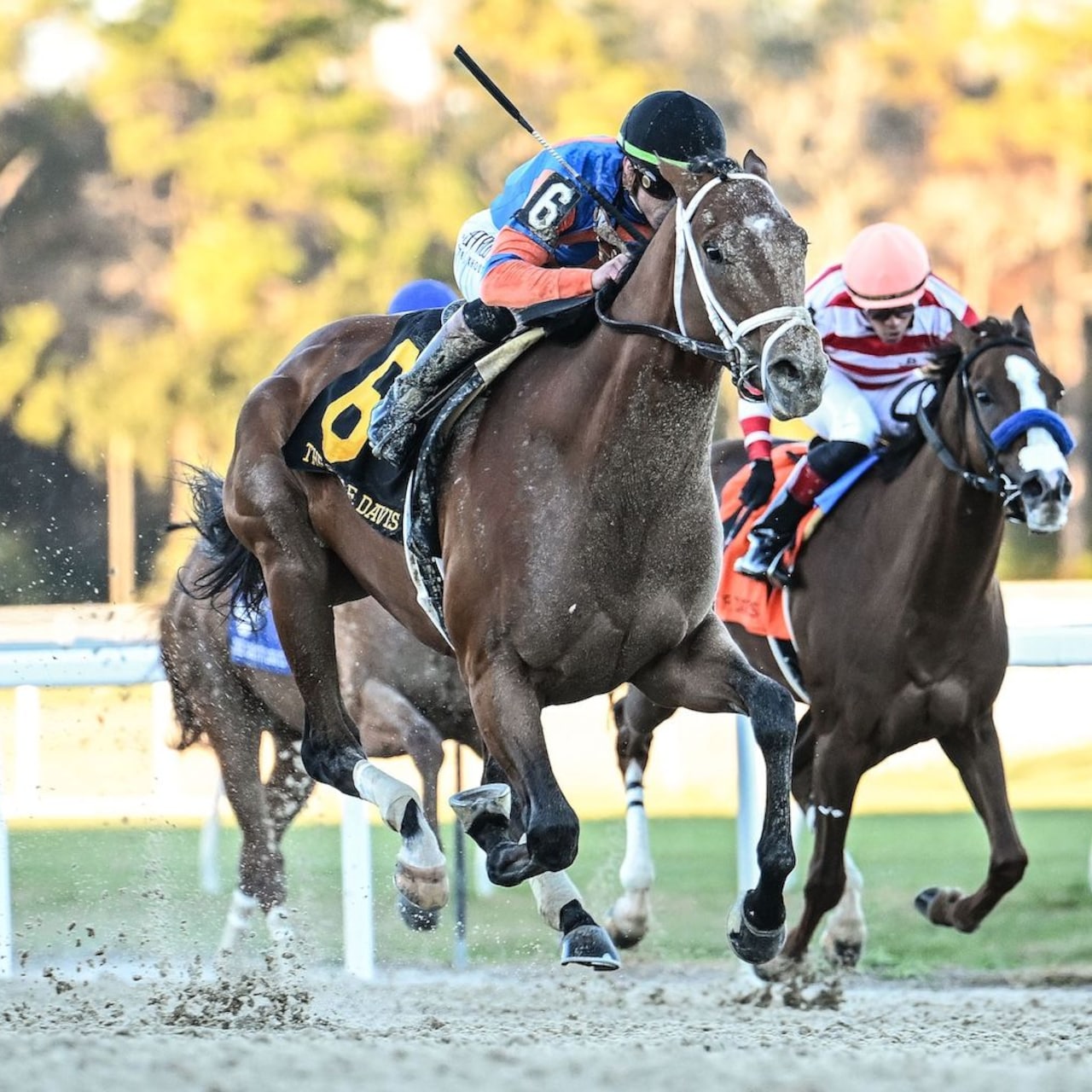 Renegade wins the Sam F. Davis Stakes at Tampa Bay Downs. 