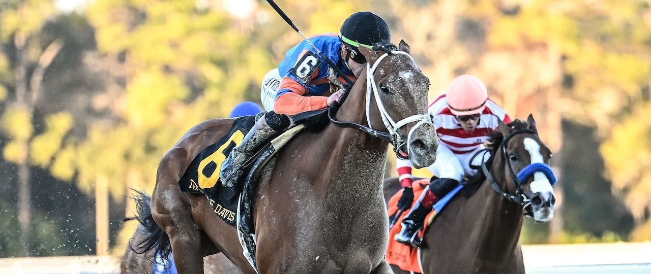 Renegade wins the Sam F. Davis Stakes at Tampa Bay Downs. 