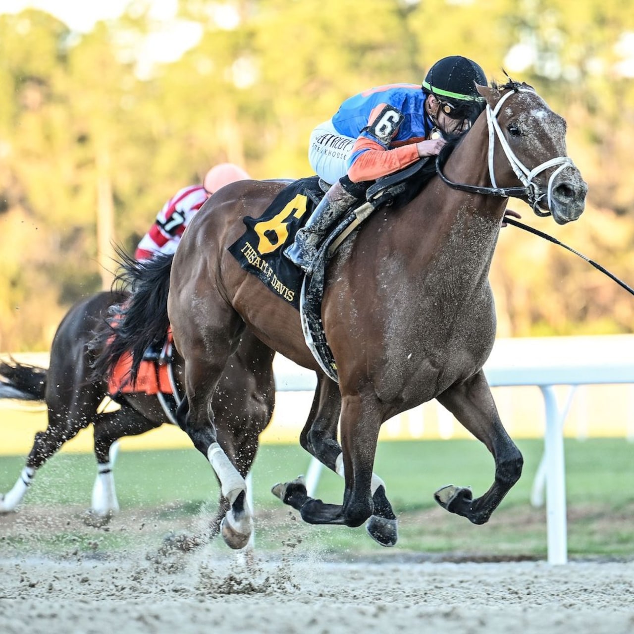 Renegade wins the Sam F. Davis Stakes at Tampa Bay Downs. 