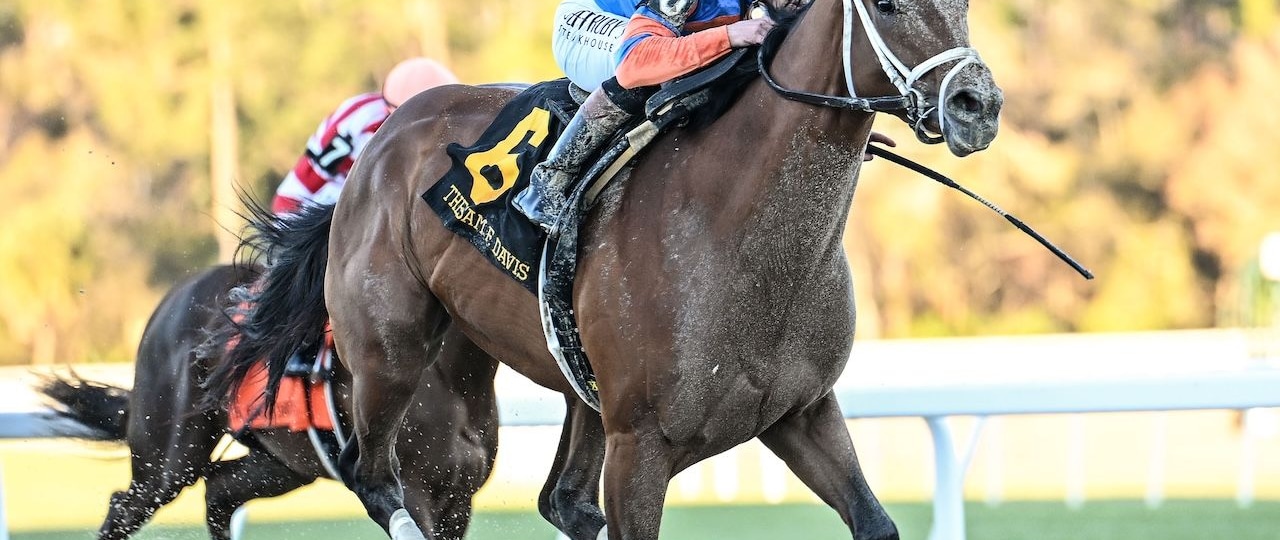 Renegade wins the Sam F. Davis Stakes at Tampa Bay Downs. 