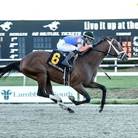 Renegade wins the Sam F. Davis Stakes at Tampa Bay Downs. 