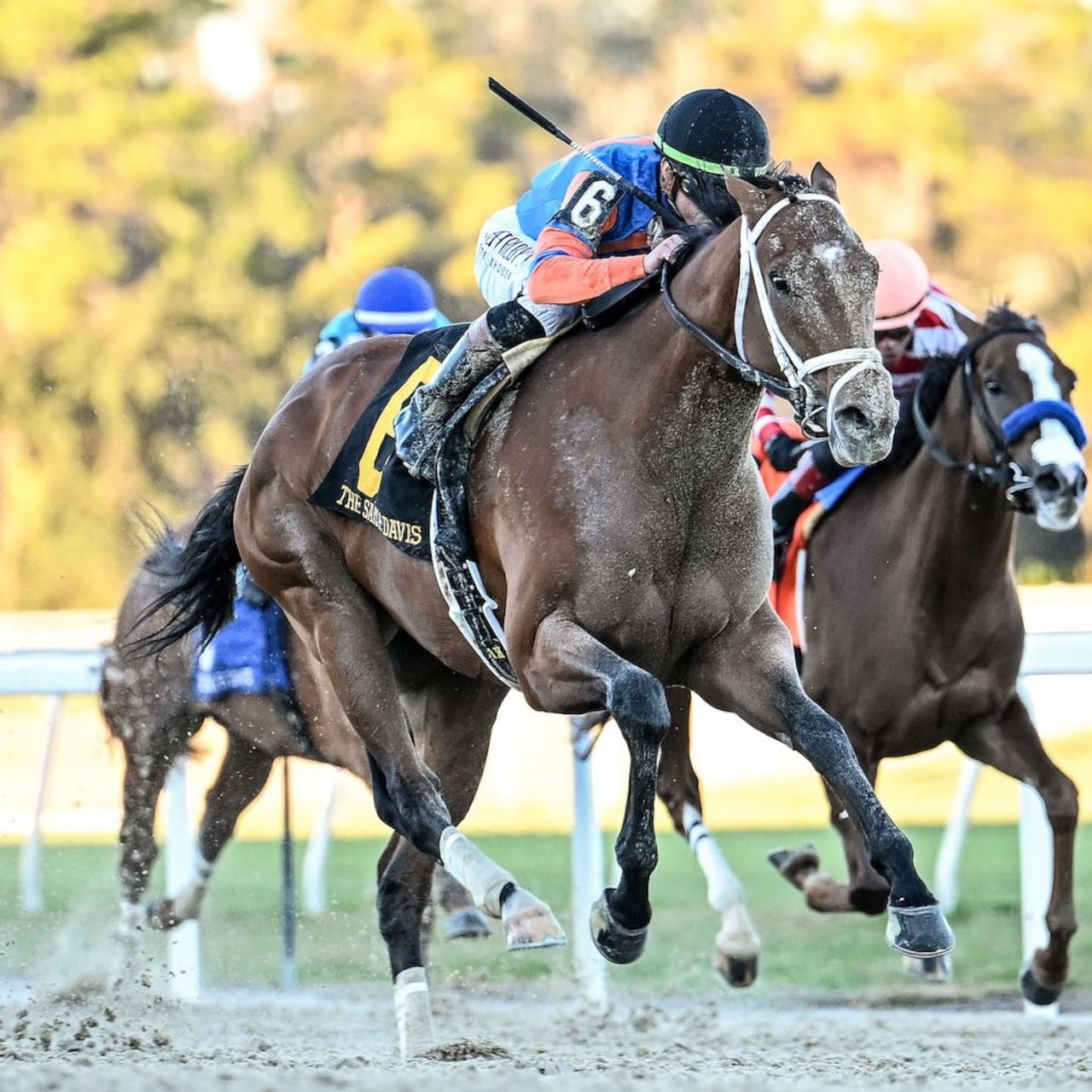 Renegade wins the Sam F. Davis Stakes at Tampa Bay Downs. 