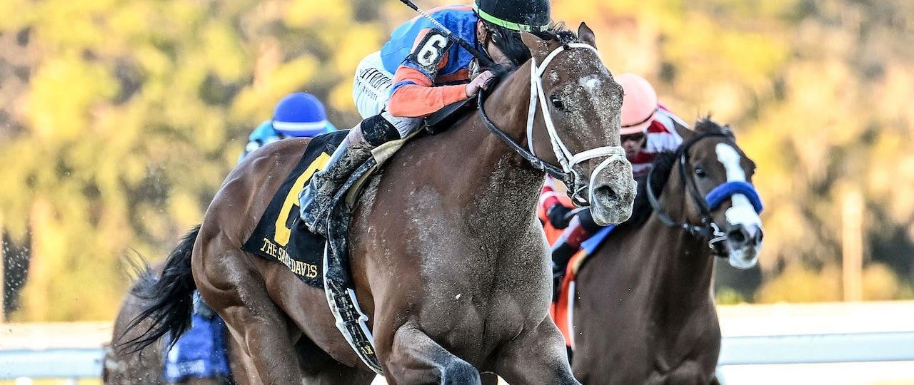 Renegade wins the Sam F. Davis Stakes at Tampa Bay Downs. 