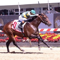 Retribution wins Chick Lang S. 2025 at Pimlico (Photo by MJC/Jim McCue)
