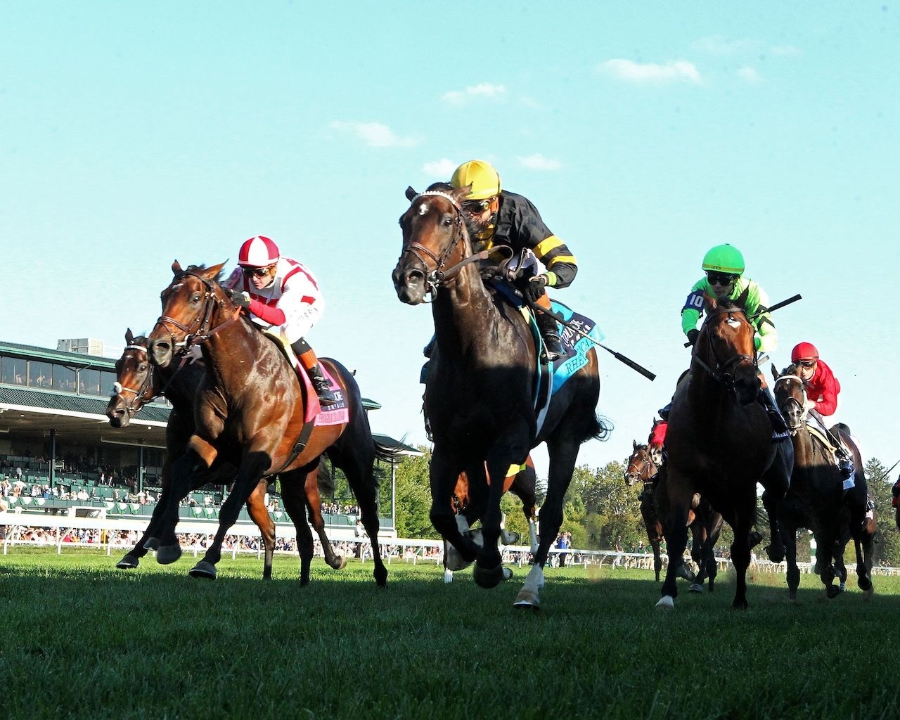 Rhetorical wins the Turf Mile at Keeneland.