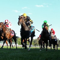 Rhetorical wins the Turf Mile at Keeneland.