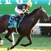 Rhetorical wins Coolmore Turf Mile at Keeneland