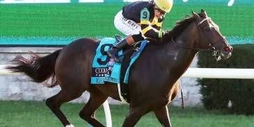 Rhetorical wins Coolmore Turf Mile at Keeneland