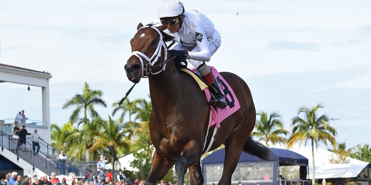 River Thames wins at Gulfstream.