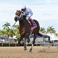 River Thames wins at Gulfstream.