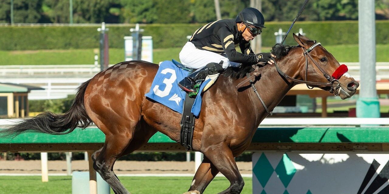 Robusta wins at Santa Anita.