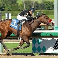Robusta wins at Santa Anita.