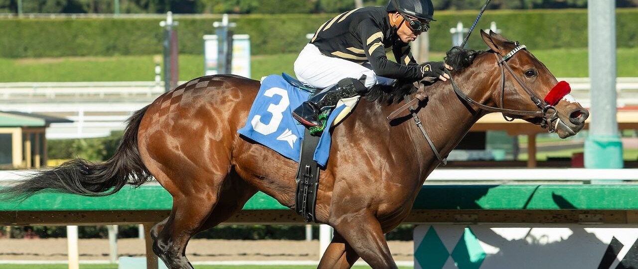 Robusta wins at Santa Anita.