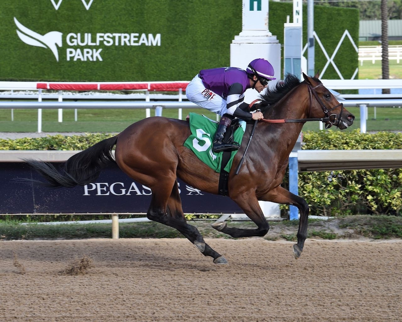 Rockies Balboa wins at Gulfstream Park.