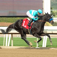 Rodriguez wins at Santa Anita.