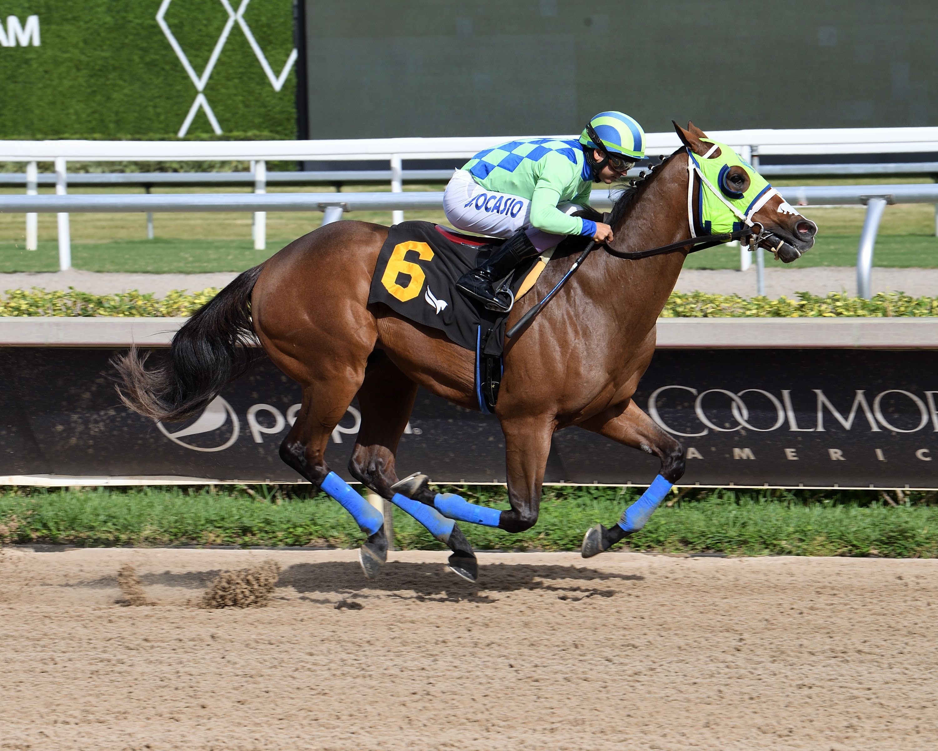 Roger That Dana wins at Gulfstream Park.