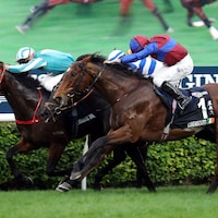 Romantic Warrior fends off Luxembourg in the 2023 Hong Kong Cup
