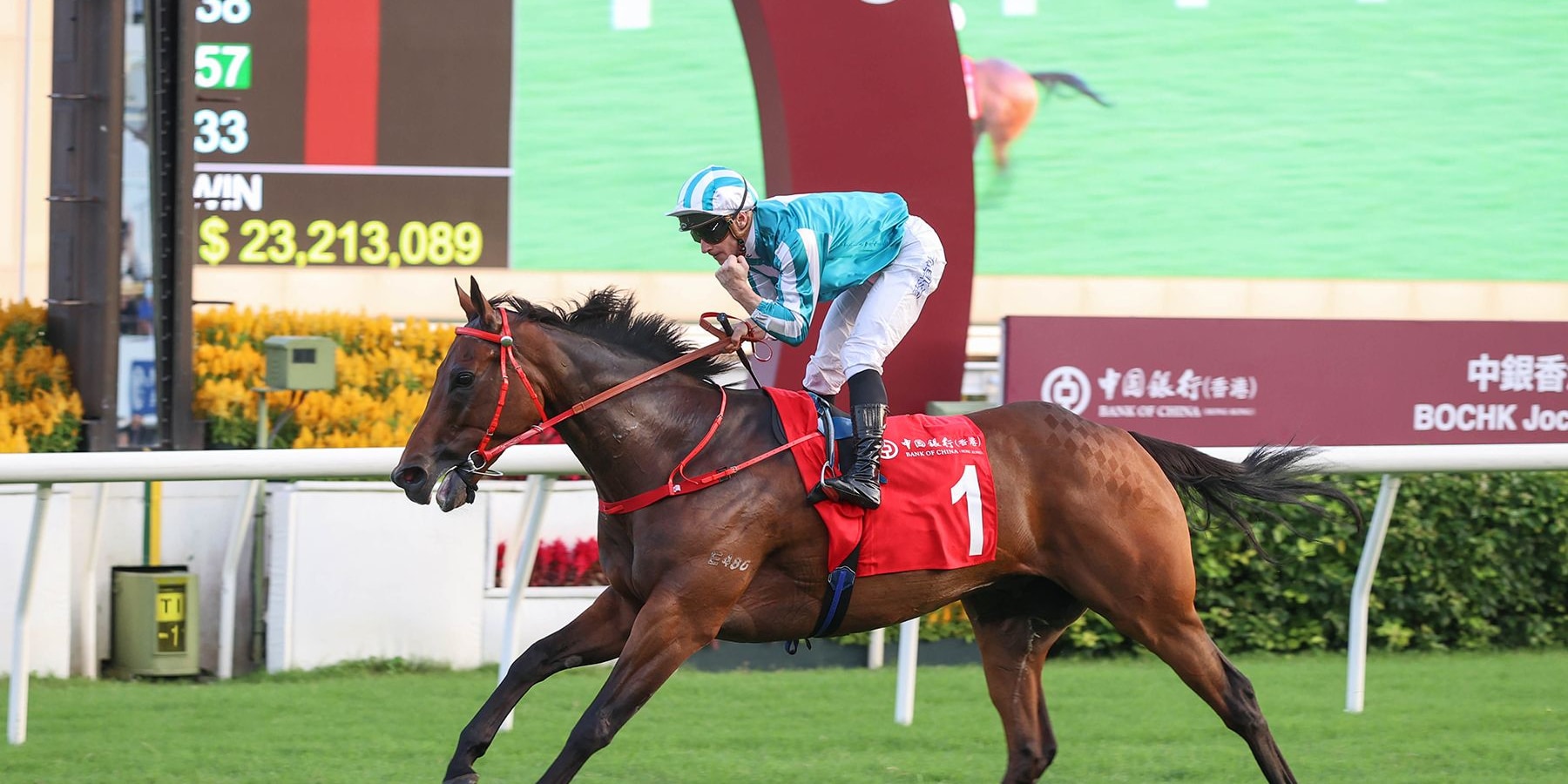 Romantic Warrior outclassed them in the Jockey Club Cup