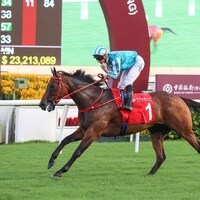 Romantic Warrior outclassed them in the Jockey Club Cup