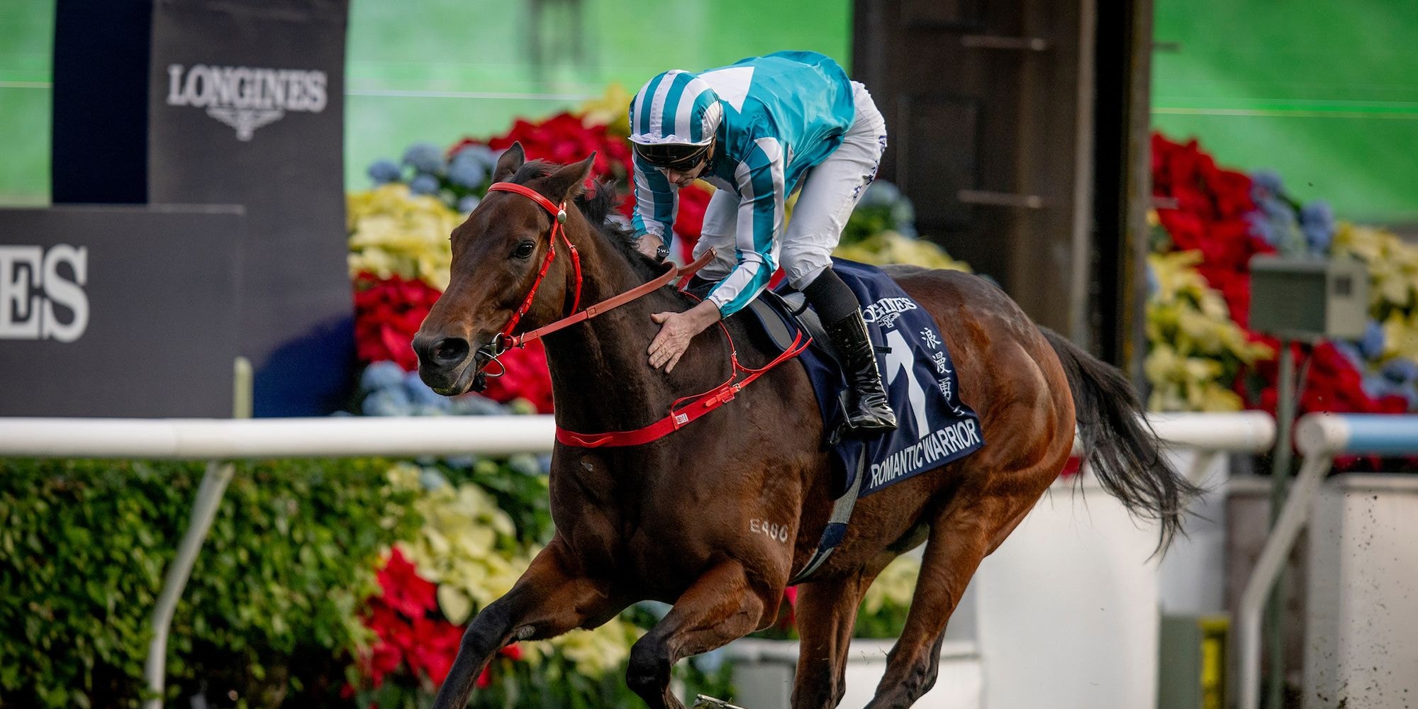 Romantic Warrior wins the Hong Kong Cup (G1) for the fourth time