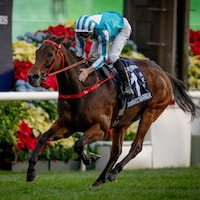 Romantic Warrior wins the Hong Kong Cup (G1) for the fourth time