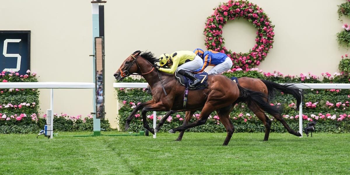Rosallion wins St James's Palace at Royal Ascot