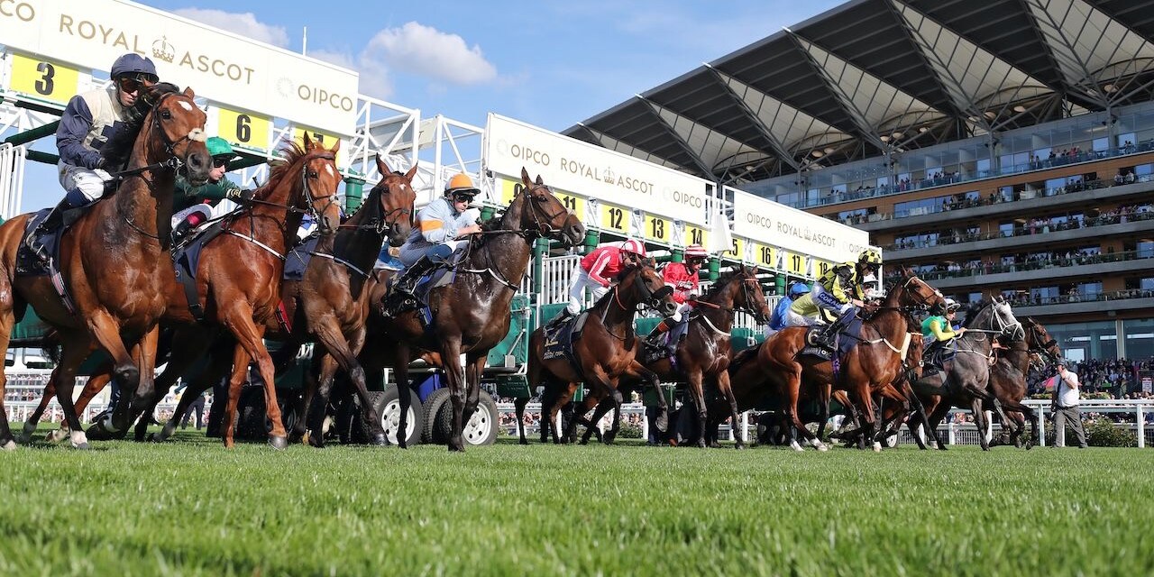 2025 Royal Ascot Scenic from day one of racing. 