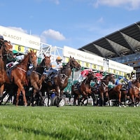 2025 Royal Ascot Scenic from day one of racing. 
