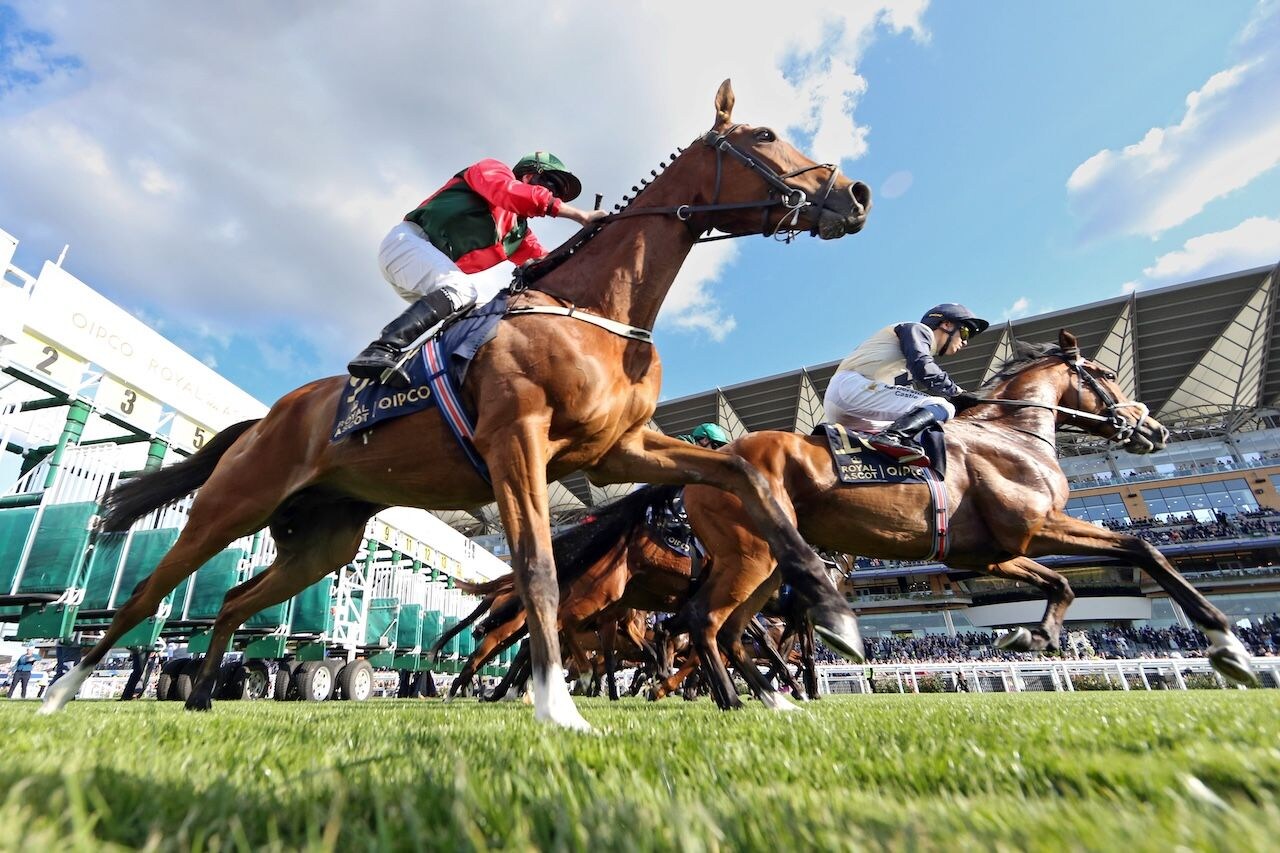 2025 Royal Ascot Scenic from day one of racing. 