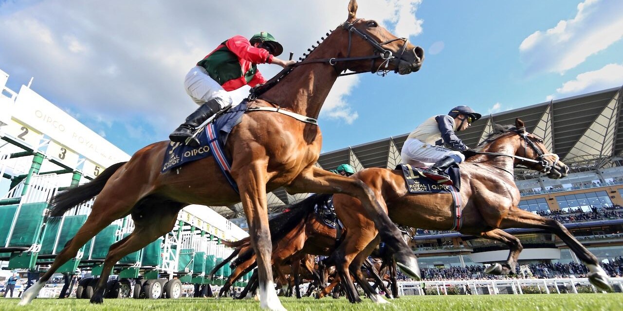 2025 Royal Ascot Scenic from day one of racing. 