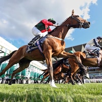 2025 Royal Ascot Scenic from day one of racing. 