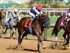 Salahudin hit his best stride late in the Iroquois (G3)