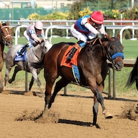 Salahudin hit his best stride late in the Iroquois (G3)