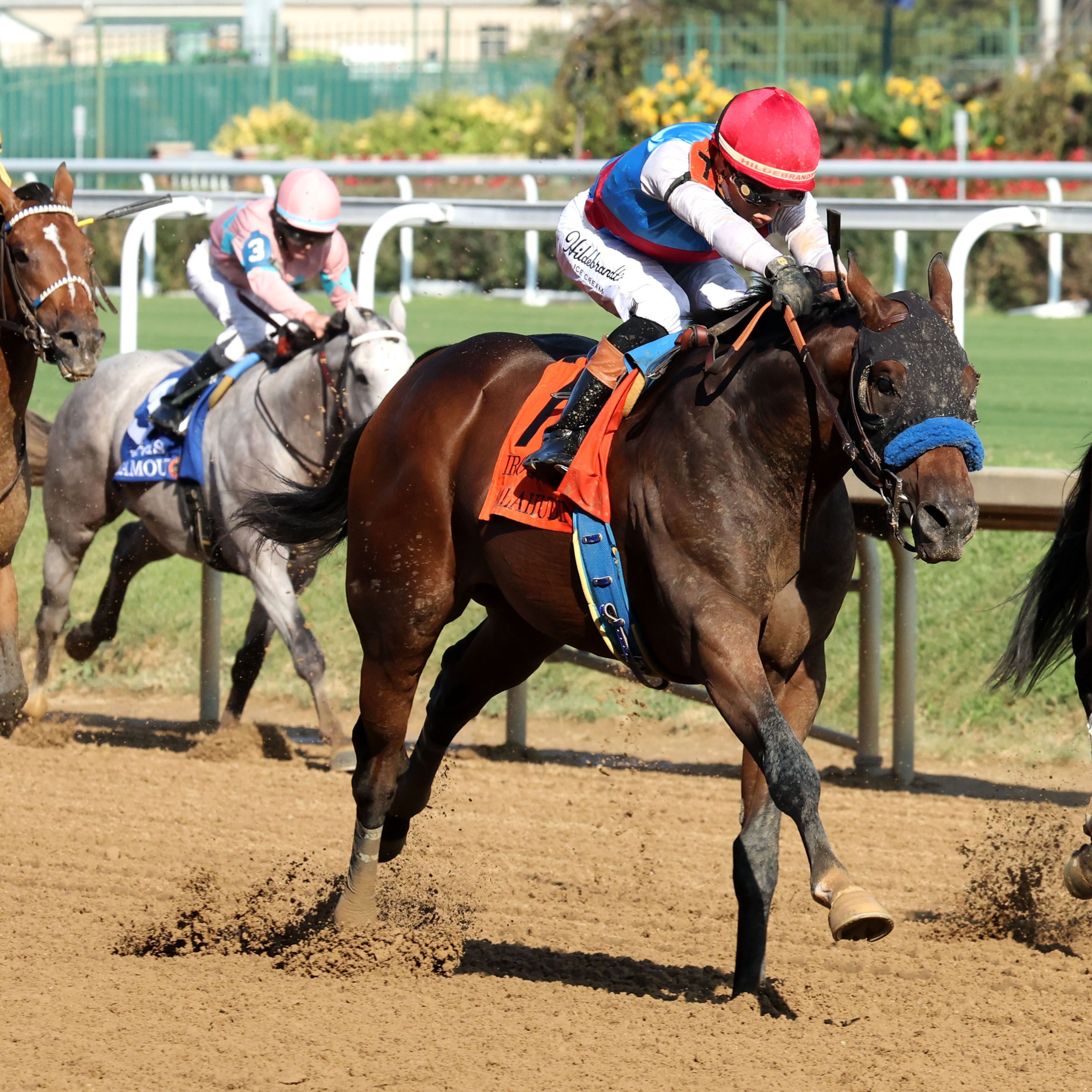 Salahudin hit his best stride late in the Iroquois (G3)