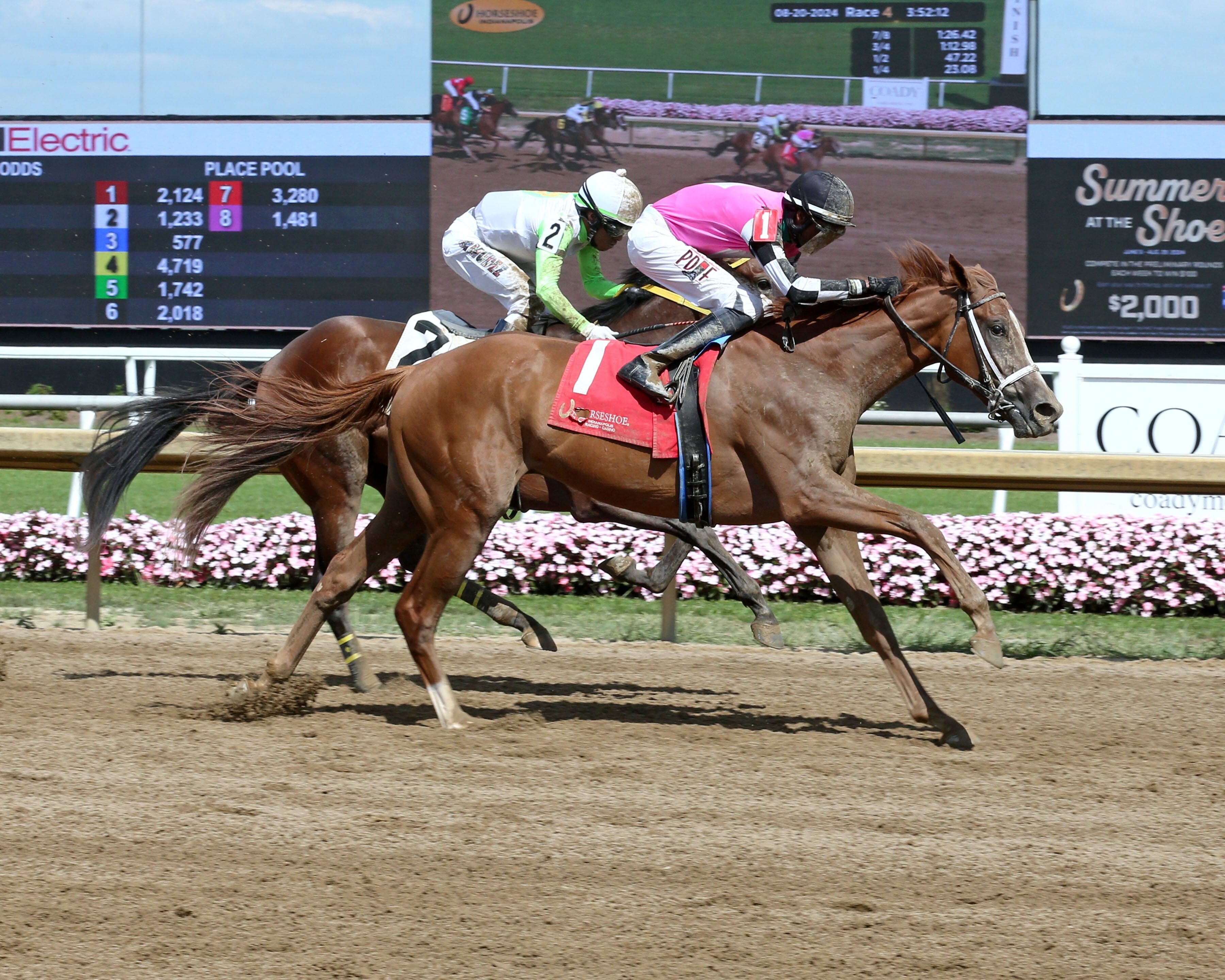 Saratoga Cruiser wins at Horseshoe Indianapolis