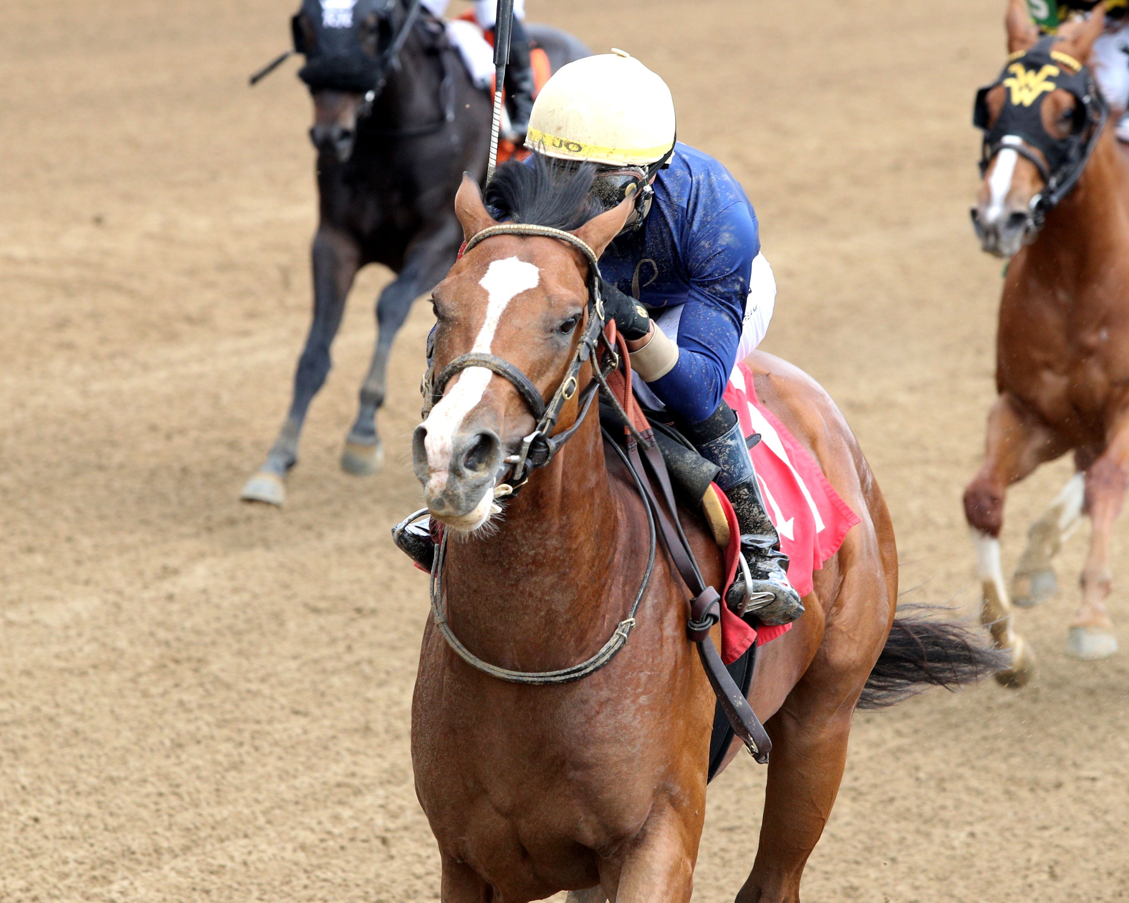 Sargent Bilko wins at Churchill Downs.