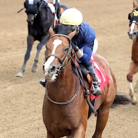 Sargent Bilko wins at Churchill Downs.