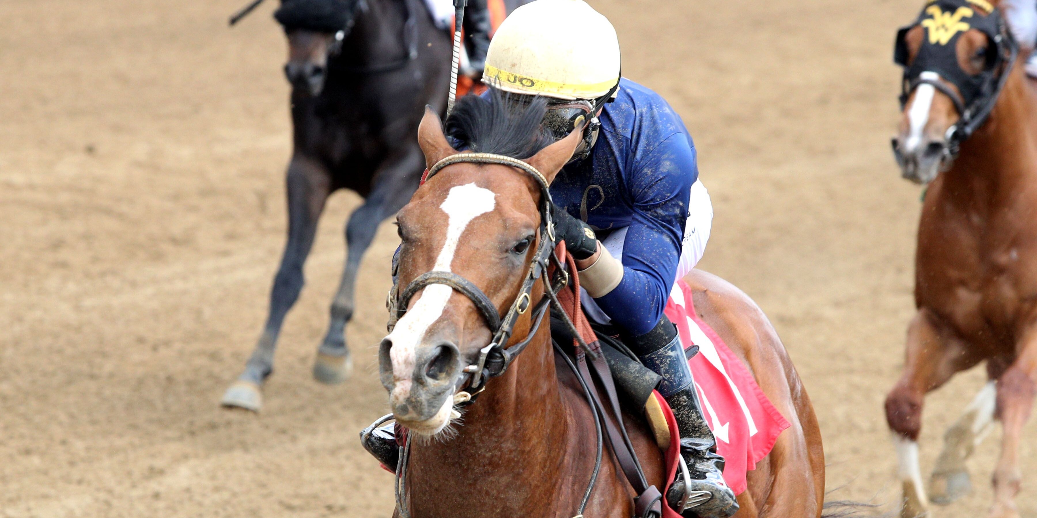 Sargent Bilko wins at Churchill Downs.