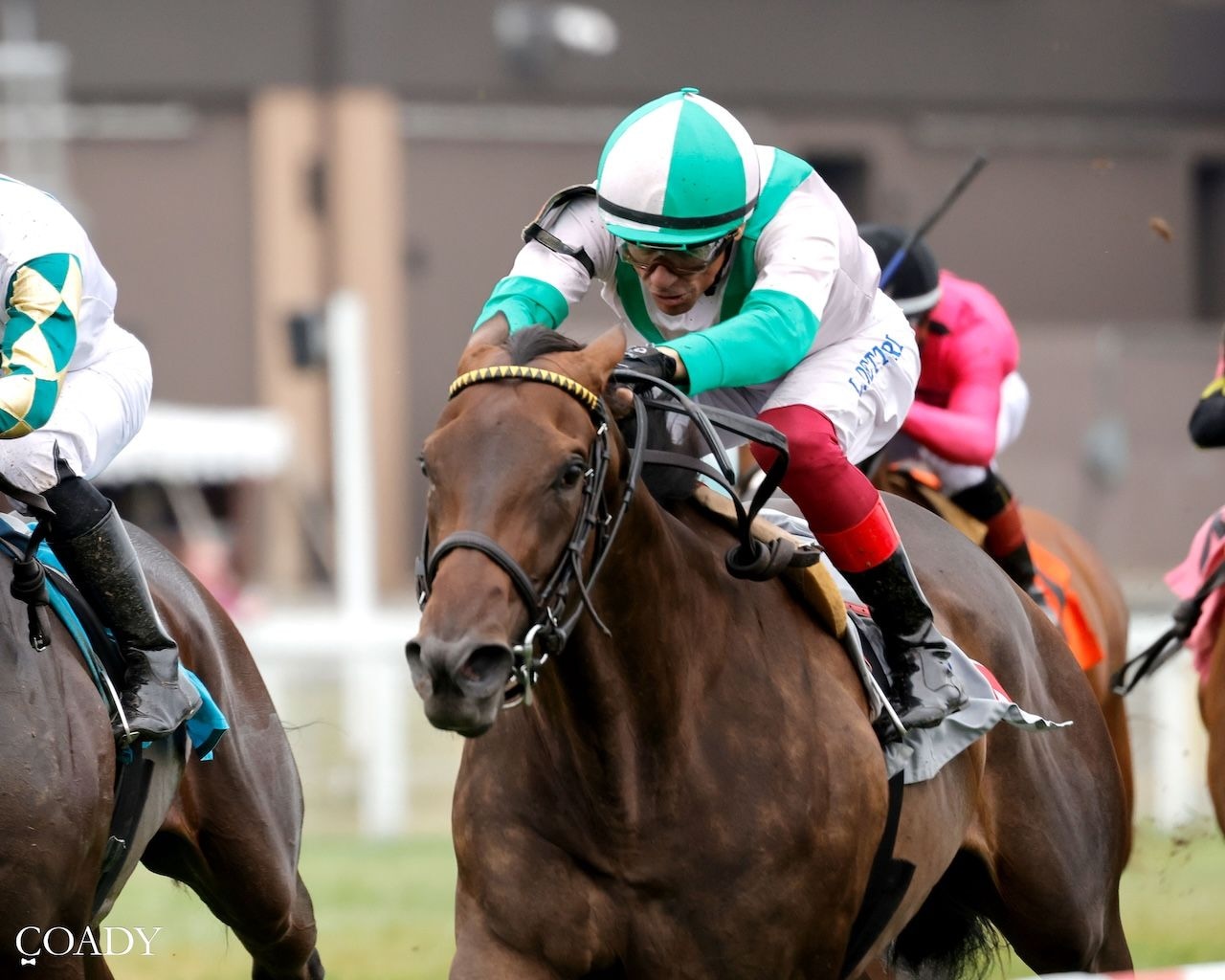Saturday Flirt wins at Kentucky Downs.