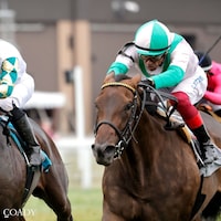 Saturday Flirt wins at Kentucky Downs.