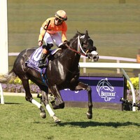 Shisospicy winning the Breeders' Cup Turf Sprint (G1) at Del Mar