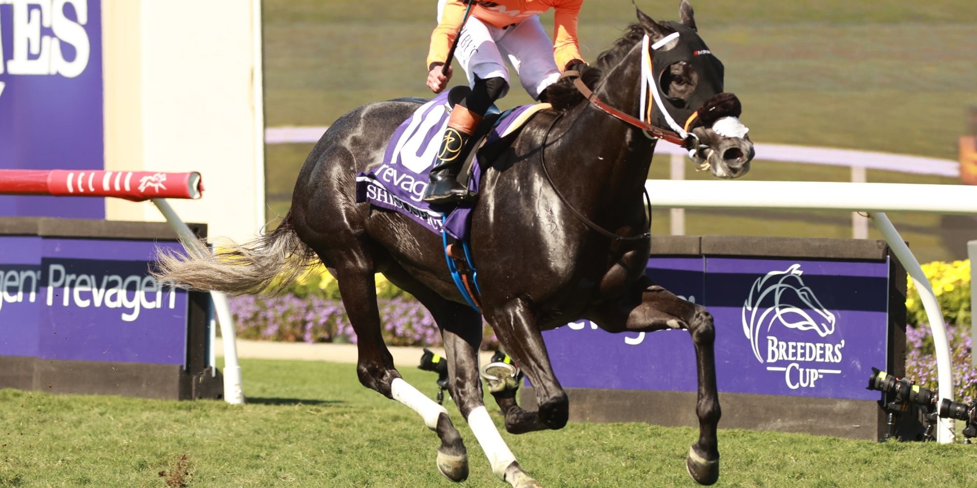 Shisospicy winning the Breeders' Cup Turf Sprint (G1) at Del Mar