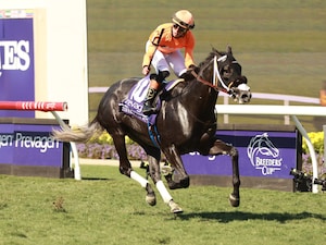 Shisospicy winning the Breeders' Cup Turf Sprint (G1) at Del Mar