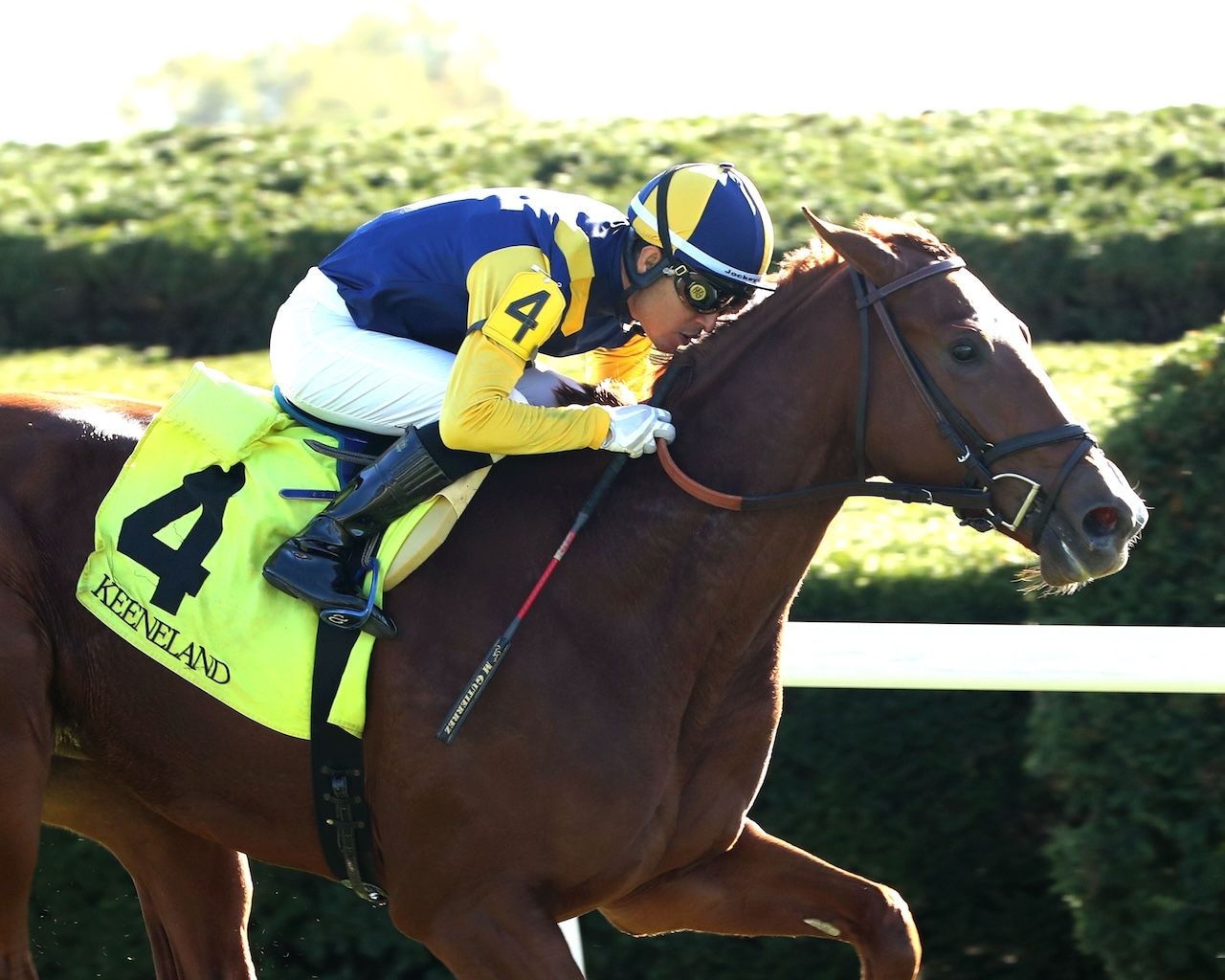 Sister Troienne wins at Keeneland.