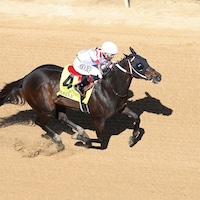Skelly winning the 2024 Count Fleet Sprint H. (G3) at Oaklawn Park (Photo by Coady Media)