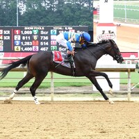 Slewperstitus wins at Colonial Downs.