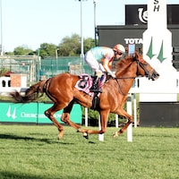 Soleil Volant wins at Churchill Downs. 