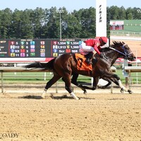 Sometime (Inside) and Magic Wallet (Outside) has a dead heat at Colonial Downs. 